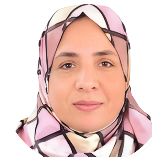 Dr. Mona Abdelmaksoud