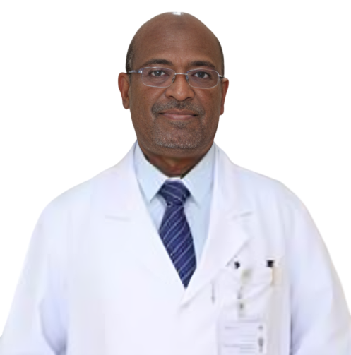 Dr. Mohamed Elfakky